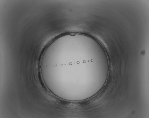 X0000093510487200710121106
