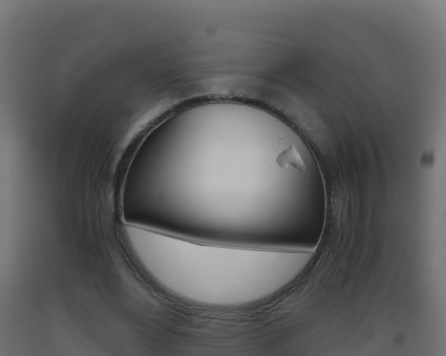 X0000093510488200710121106