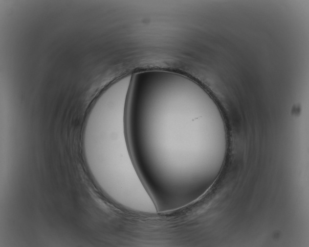 X0000093510489200710121106