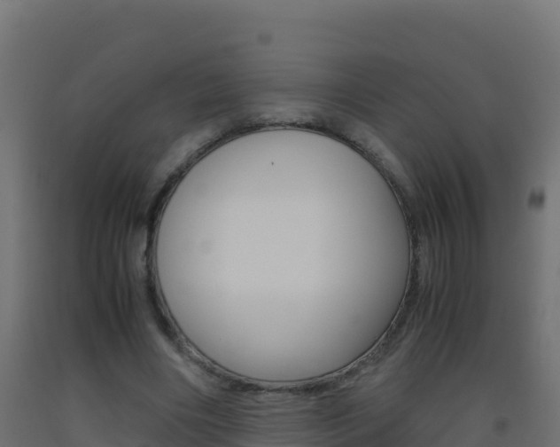 X0000093510490200710121106