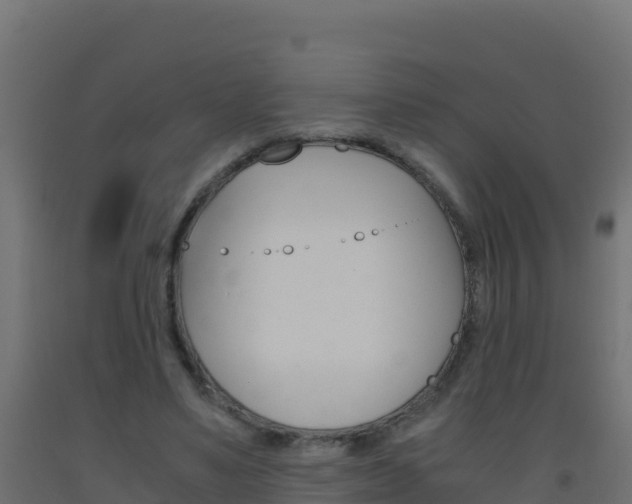 X0000093510491200710121106
