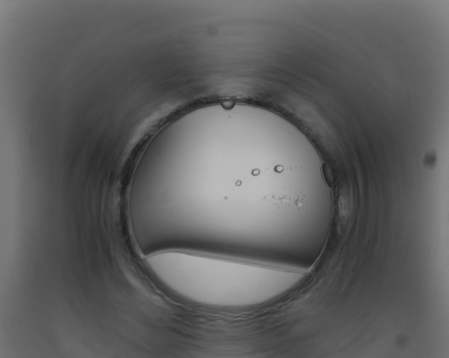 X0000093510492200710121106