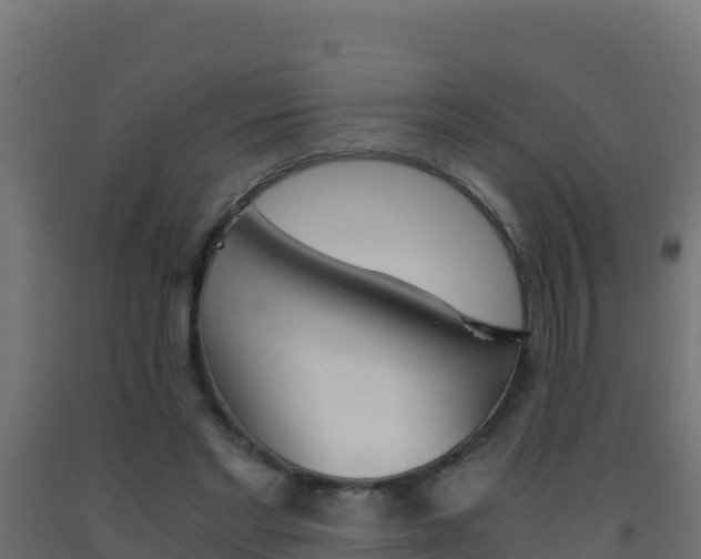 X0000093510493200710121106