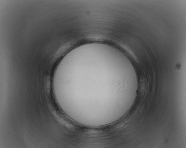 X0000093510494200710121106
