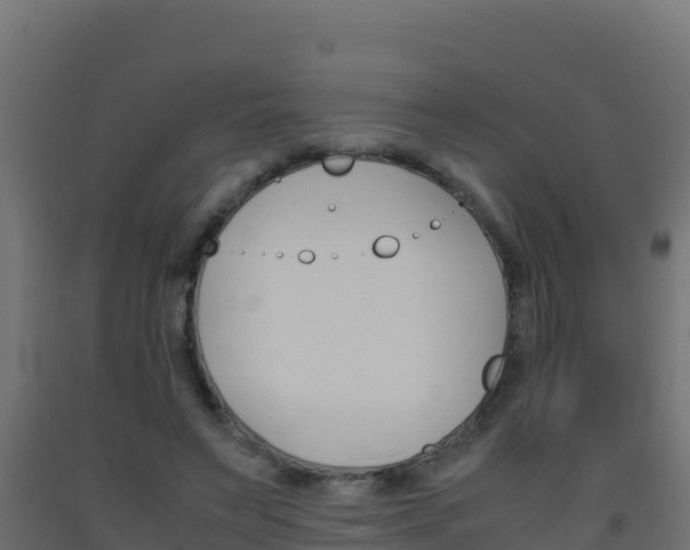 X0000093510495200710121106