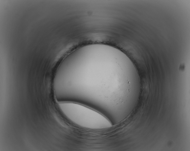 X0000093510496200710121106