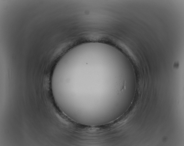 X0000093510497200710121106