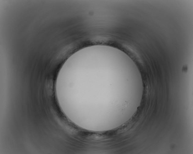 X0000093510498200710121106
