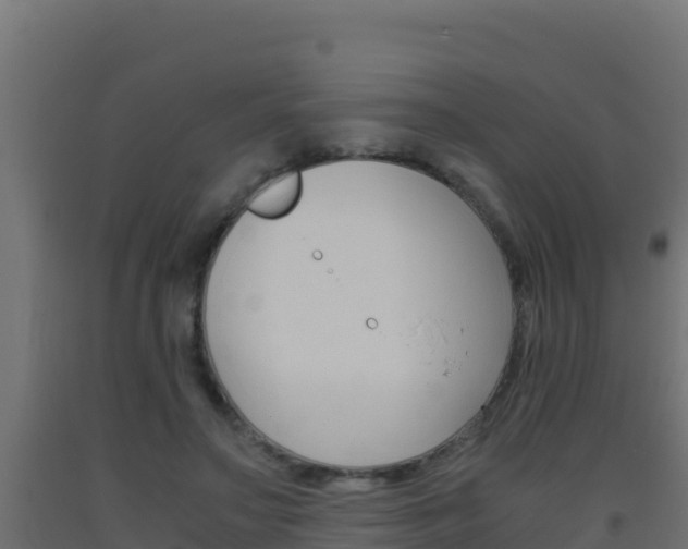 X0000093510499200710121106