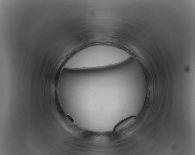 X0000093510500200710121106