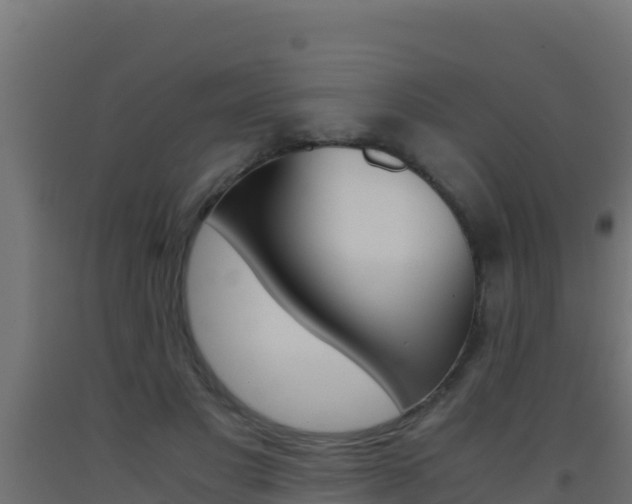 X0000093510501200710121105