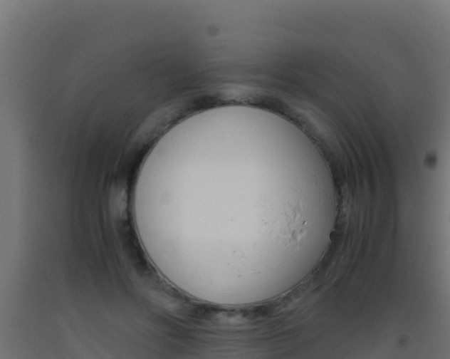 X0000093510502200710121105