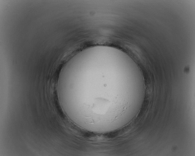 X0000093510503200710121105