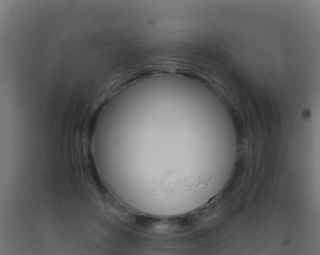 X0000093510504200710121105