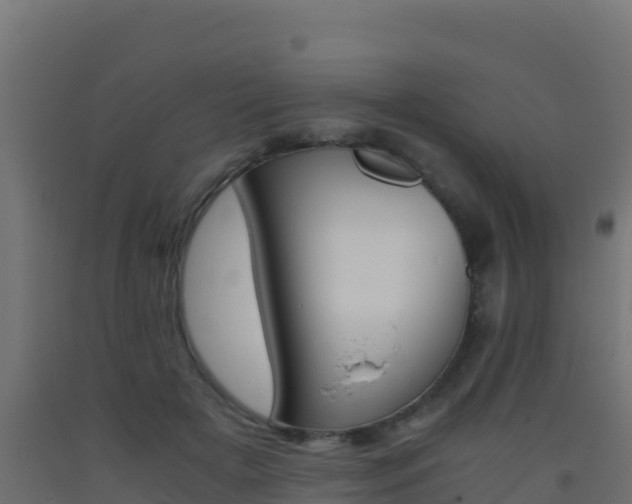 X0000093510505200710121105