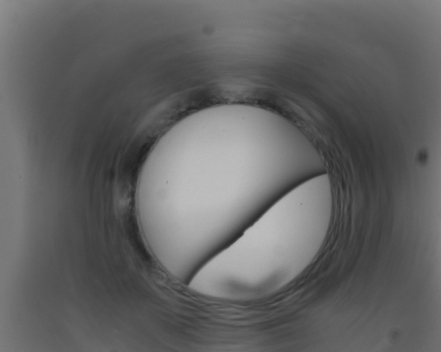 X0000093510507200710121105