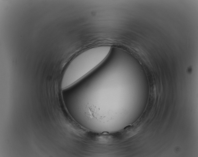 X0000093510508200710121105