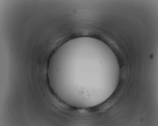 X0000093510509200710121105