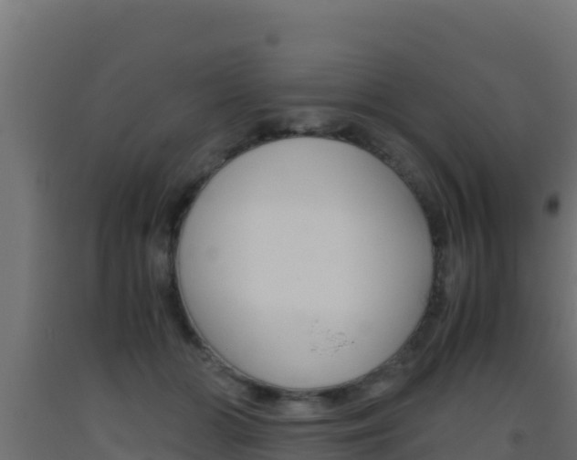 X0000093510510200710121105