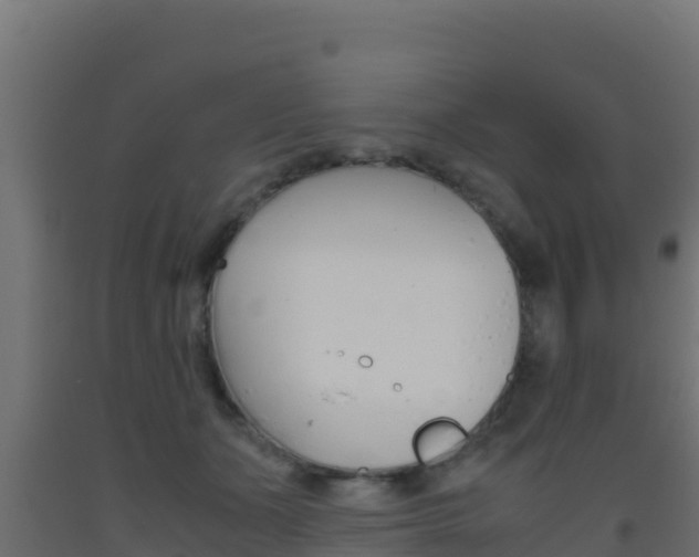 X0000093510511200710121105