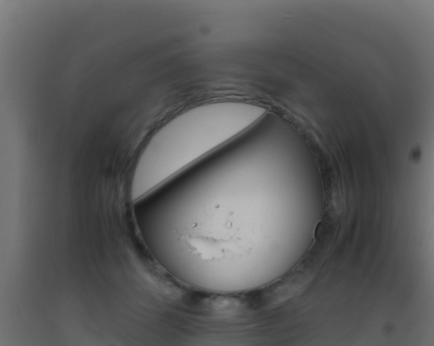 X0000093510512200710121105
