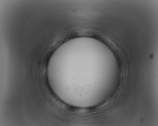 X0000093510513200710121105