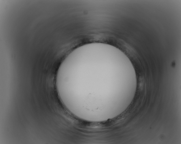 X0000093510514200710121105