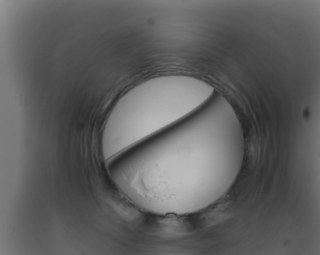 X0000093510516200710121105