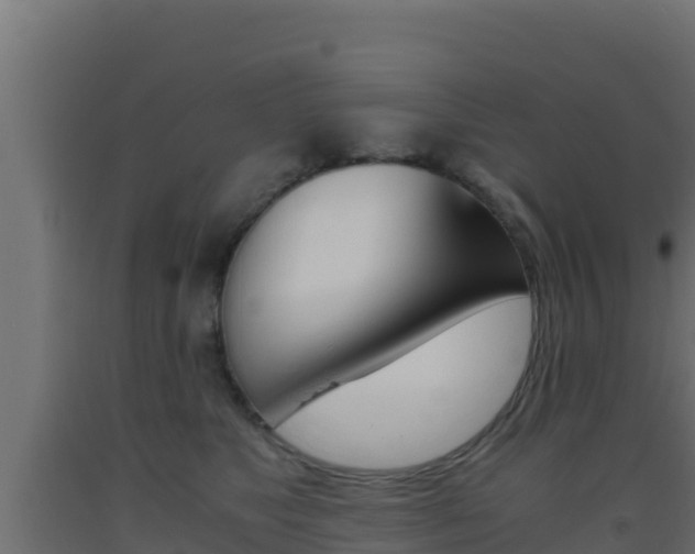X0000093510517200710121105