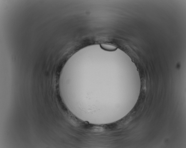 X0000093510519200710121105