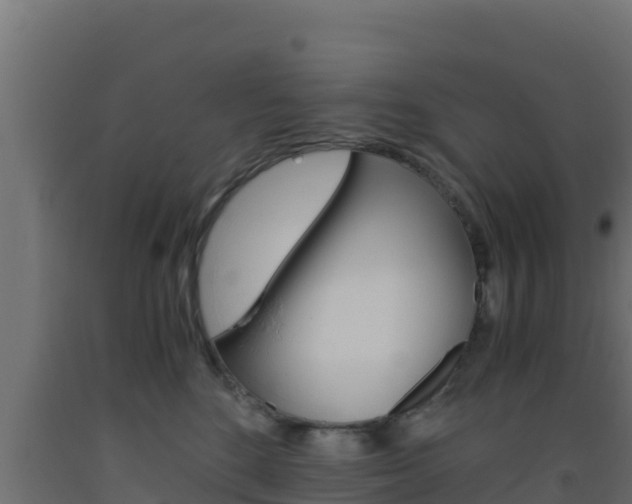 X0000093510520200710121105