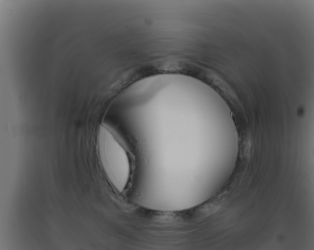 X0000093510521200710121105