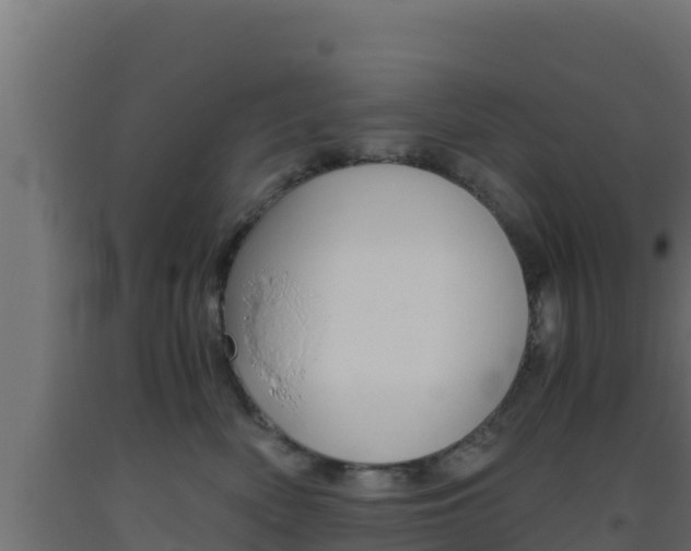 X0000093510522200710121105