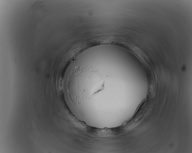X0000093510525200710121105