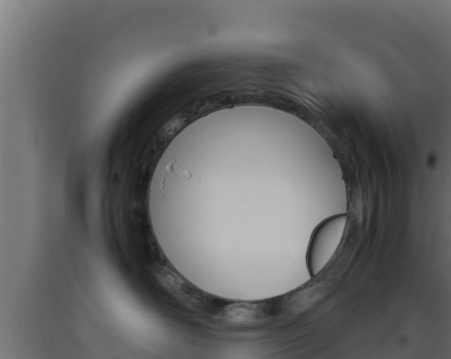 X0000093510526200710121105