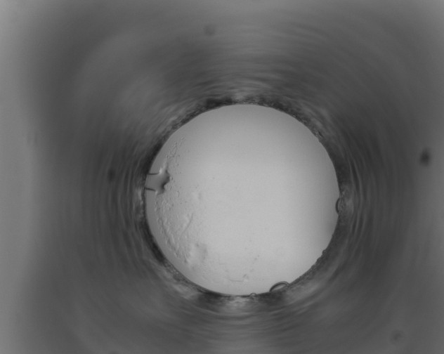 X0000093510527200710121105