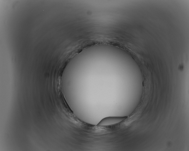 X0000093510528200710121105