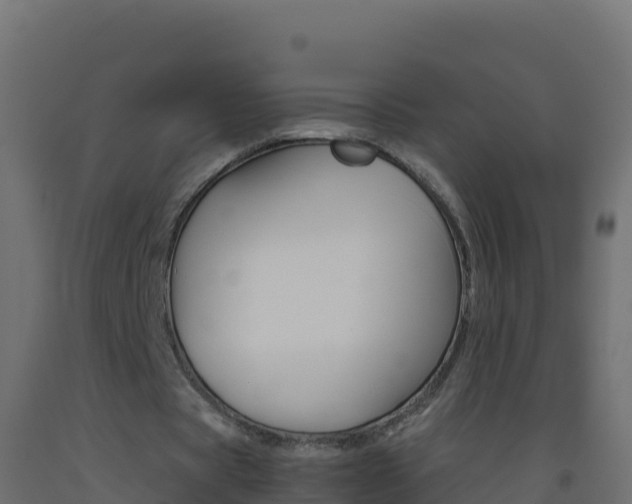 X0000093510529200710121105