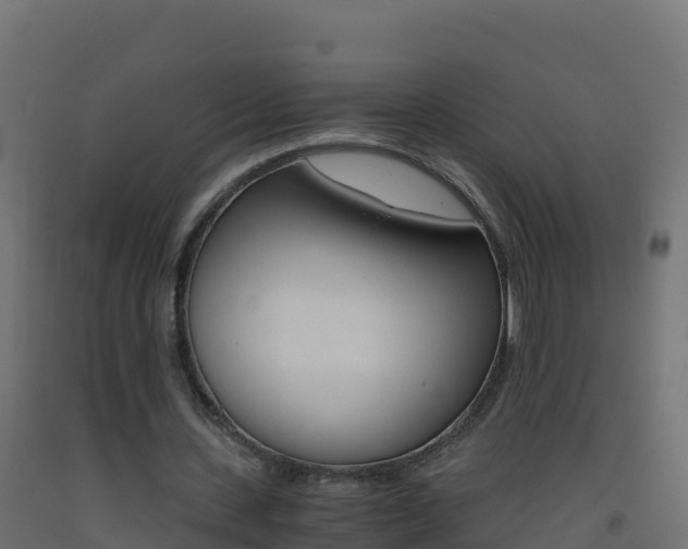 X0000093510531200710121105
