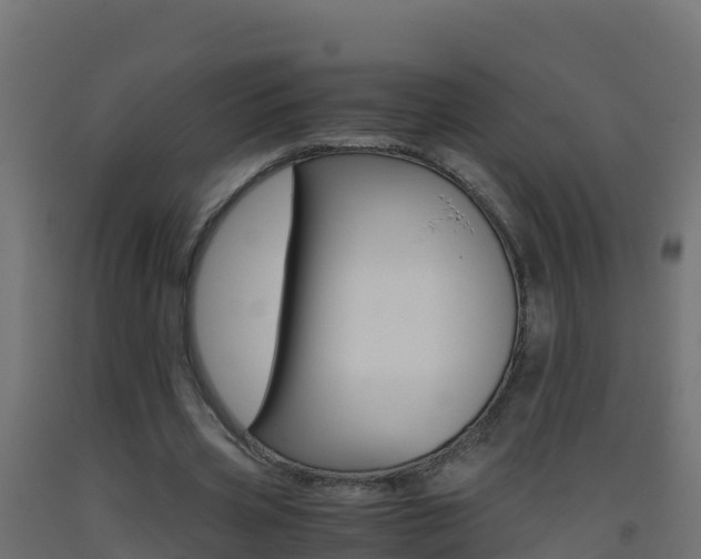 X0000093510533200710121105