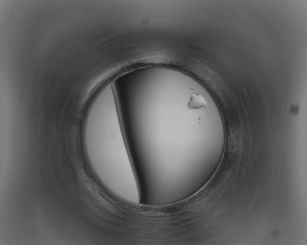 X0000093510535200710121105