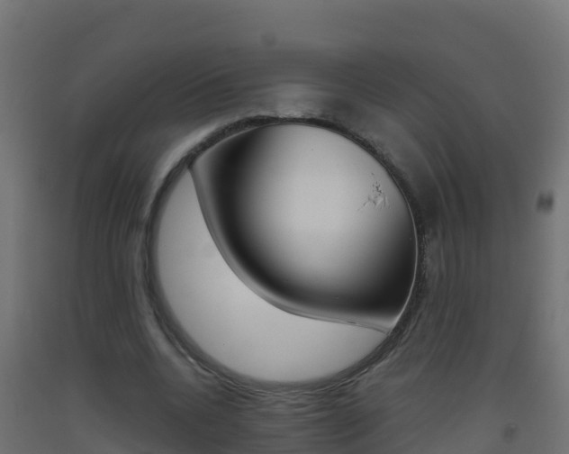 X0000093510536200710121105
