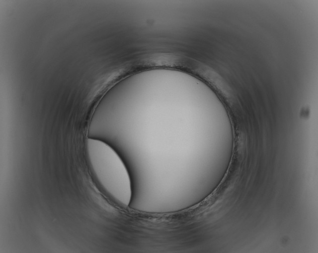 X0000093510537200710121105
