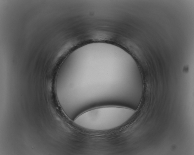 X0000093510539200710121105