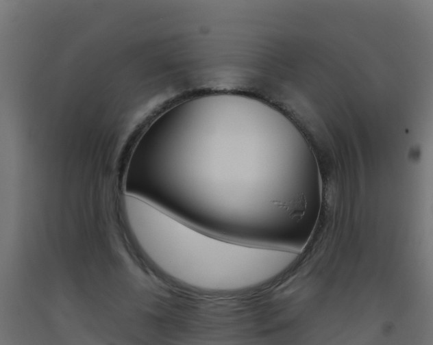 X0000093510540200710121105