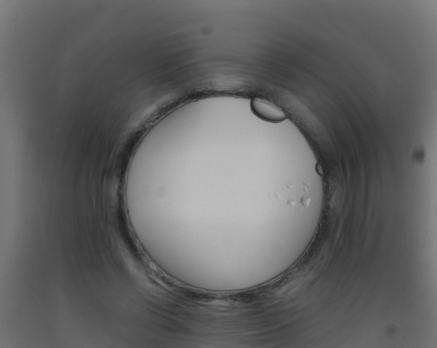 X0000093510542200710121105