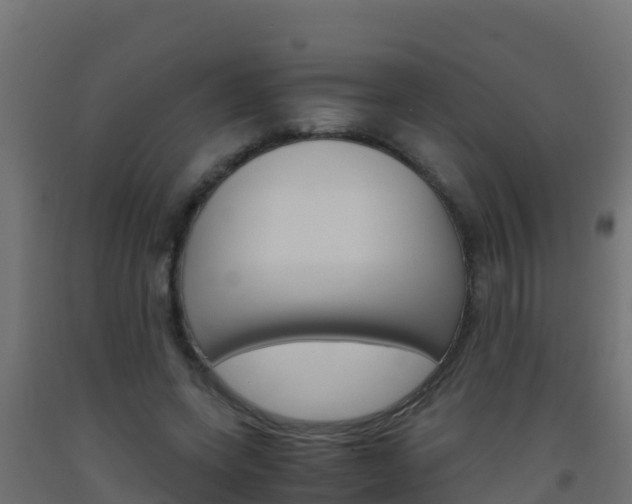 X0000093510543200710121105