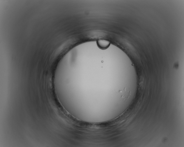 X0000093510547200710121105