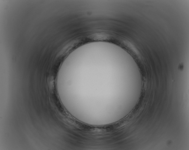 X0000093510549200710121105