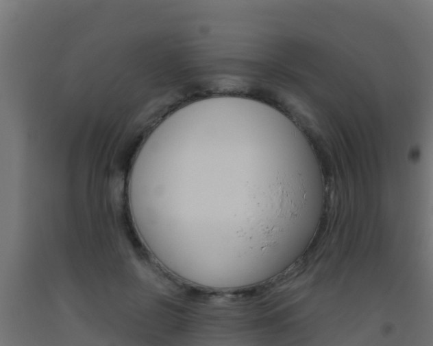 X0000093510550200710121105